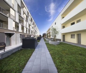 Living in HELLO Aarburg - Photo 5