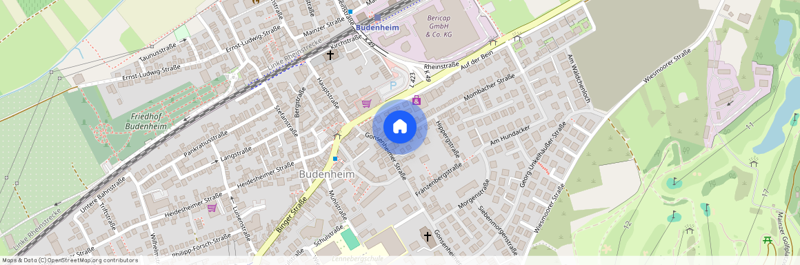 Mombacher Straße 6, 55257 Budenheim