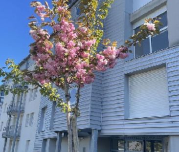Location Appartement 2 pièce(s) de 26.15 m2 - Photo 6