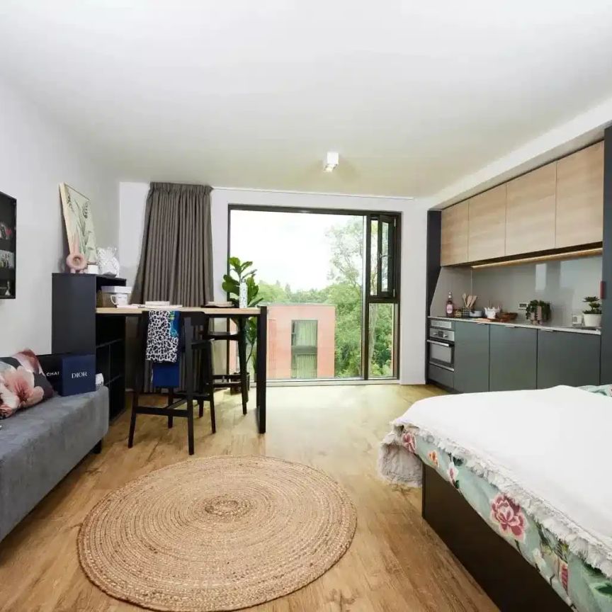 Standard Studio - Photo 1