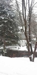 5 1/2 foyer (wifi inclus) terrain bordé d'un étang - Photo 4