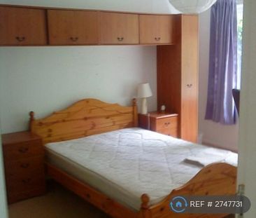 3 bedroom semi-detached house to rent - Photo 5