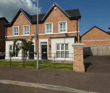 8 Foxleigh Meadows, Ballymoney, BT53 6AZ - Photo 6