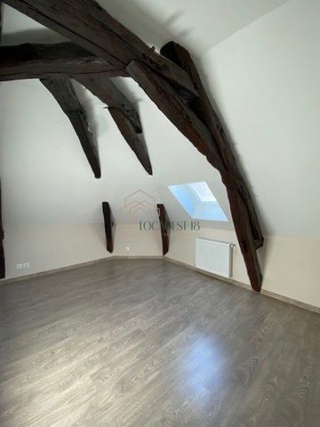 MEHUN SUR YEVRE - BEL APPARTEMENT AVEC CHARME - Photo 3