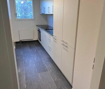 3.5 Room Apartment - Photo 4