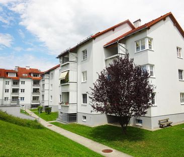 Schöne 3 Zimmer Wohnung in Micheldorf - Foto 3