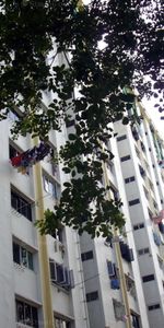 Blk 327 Clementi Avenue 5 (Clementi), HDB 3 Rooms - For Rent - Photo 3