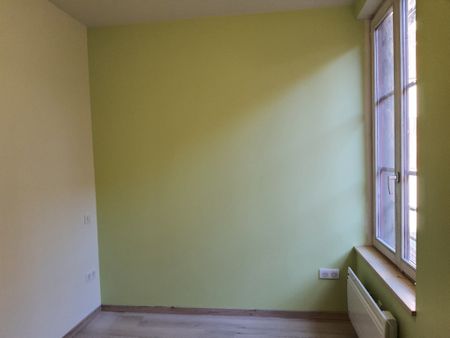 APPARTEMENT COLMAR - Photo 5