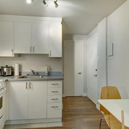 Loft entièrement meublé à louer Saint-Jean-Baptiste juillet 2026 - Photo 4