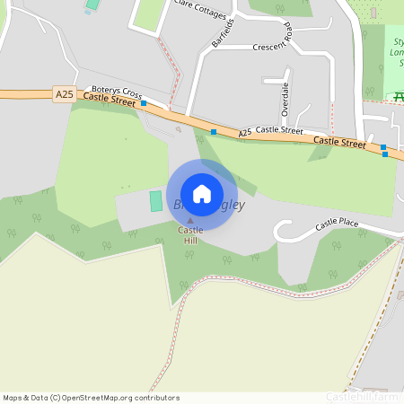 Castle Street, Surrey, RH1