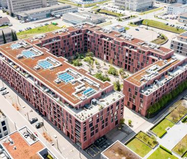 "Sie brauchen Platz? ROY" hat ihn!" - Photo 5