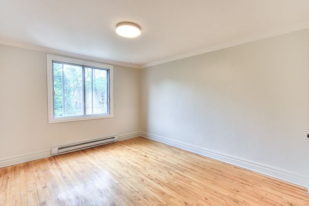 6604 Avenue McLynn - Photo 1