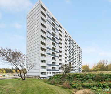 Velkommen til Mølleparkvej ( Vestbo) - Photo 3