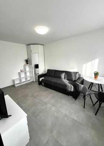 kawalerka do wynajęcia, Centrum, ul.Potulicka - Photo 3