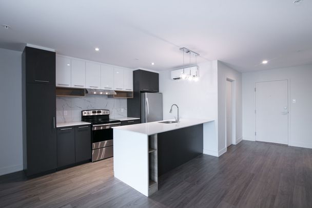 9675 Av. Papineau - Photo 1
