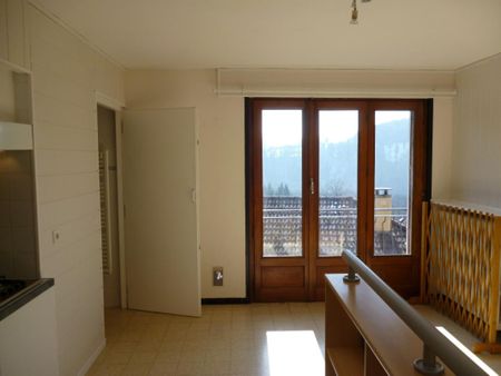 Location Appartement 1 pièce 25m² ONNION 74490 - Photo 4