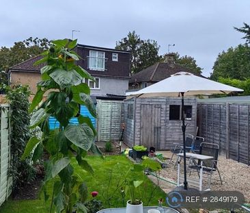 3 bedroom semi-detached house to rent - Photo 2