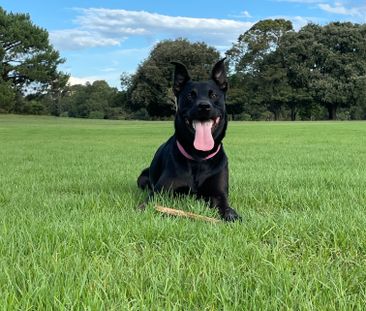 Paddington - Photo 4