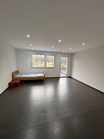 Schönes Studio in Schmitten - Photo 3