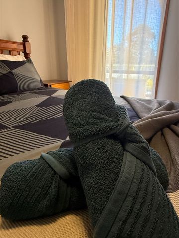 Fully Furnished Property in Moruya Heads - Photo 4