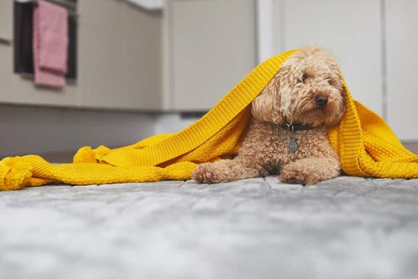 Taffeta House, E20 1BL, London - Photo 1