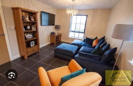 Apt 6, Lady Wallace Court, Lisburn, BT28 3GU - Photo 2