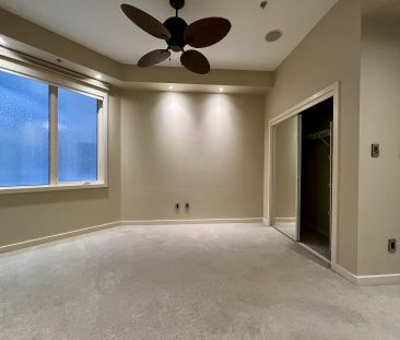 Spacious 2 Bdrm at Ellis Court - Photo 2