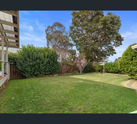 40 Cambrai Avenue, Engadine, NSW 2233 - Photo 4