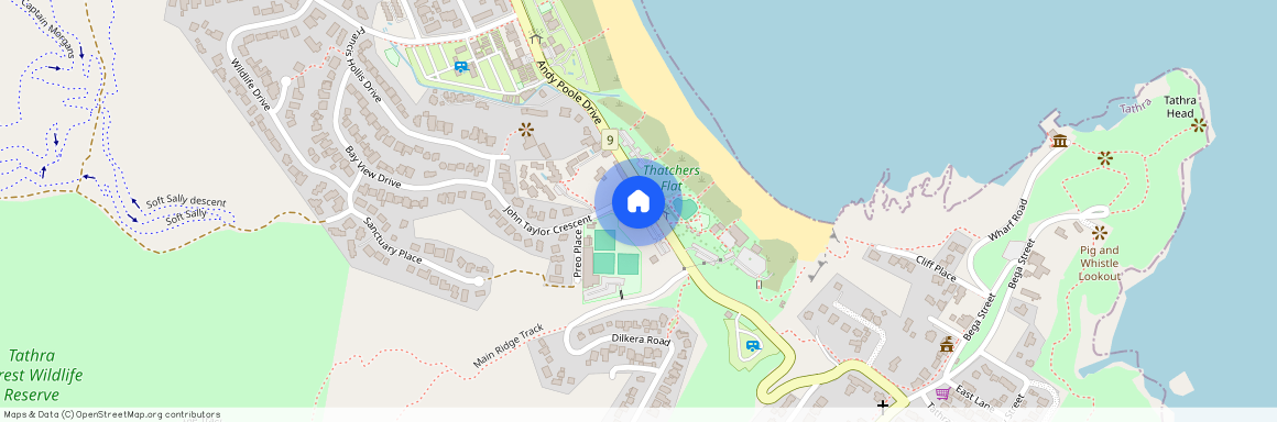 65A Andy Poole Drive, NSW 2550, Tathra