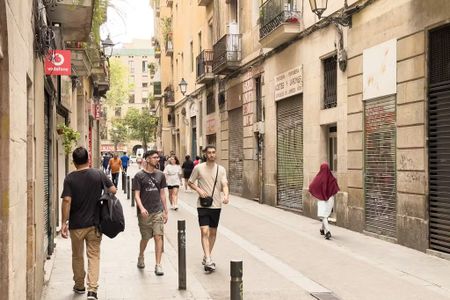 Carrer de la Cera, Barcelona, Catalonia 08001 - Photo 4