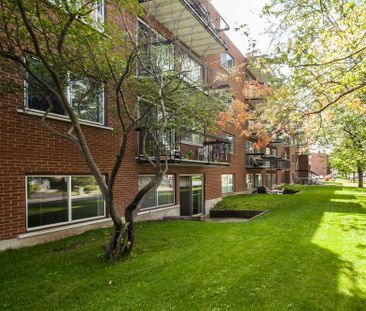 Appartement 1 chambre à louer Châteauguay à Pasteur - Photo 1