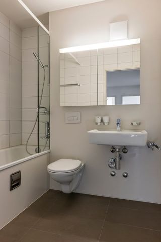 Herrliche Weitsicht über Birsfelden gesucht - Foto 4