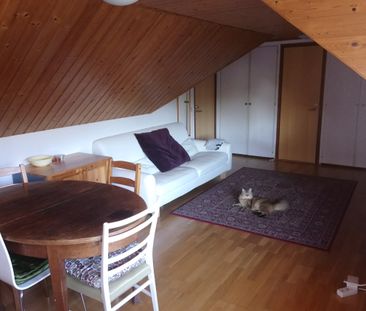 Rum med snedtak på Norra Fäladen för kvinnlig student - Photo 1