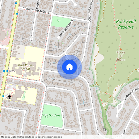 115 Simkin Crescent, NSW 2650, Kooringal