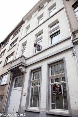 Duplex te huur - Foto 1