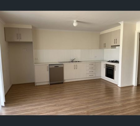 48 Cherry Avenue, Direk, SA 5110 - Photo 4