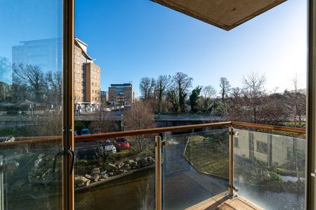 The Blackthorn, Riversdale, Dundrum, D16 PD29 - Photo 4