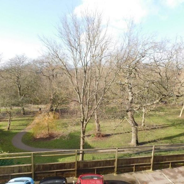 2 Bed Flat, Furze Hill House, BN3 - Photo 1