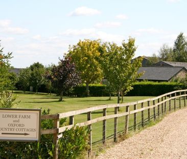 1 bedroom cottage to rent - Photo 6