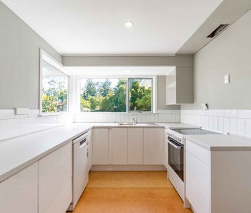 Recently Renovated Four-Bedroom Home in Prime Claudelands Location - Photo 6