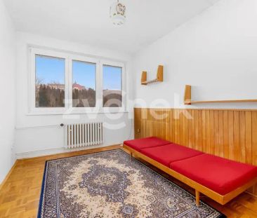Pronájem prostorného bytu 3+1 v Lukově s výhledem na rybník, vlastn... - Fotografie 2