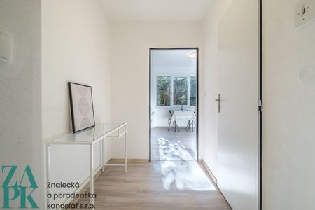 Pronájem bytu 1+1, Střekov, Ústí nad Labem - Photo 4