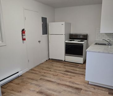 Welcome to this 2-bed 1-bath basement unit - Photo 5