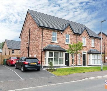 25 Woodbrook Manor, Lisburn, BT28 0AD - Photo 3