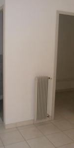 Location Appartement 3 pièces 63m² TOURNUS 71700 - Photo 3