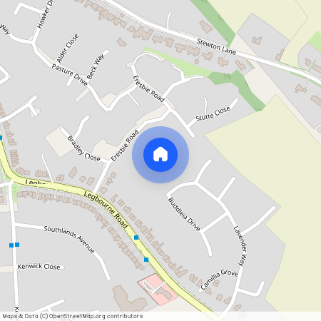 Buddleia Drive, Louth