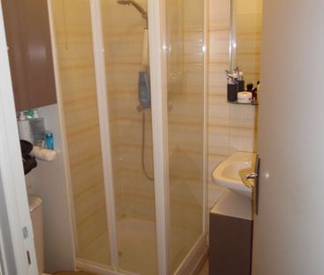 Location appartement 1 pièce, 19.51m², Bry-sur-Marne - Photo 4