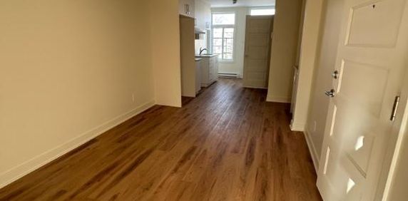 Superbe 5 1/2 à Hochelaga - Photo 2