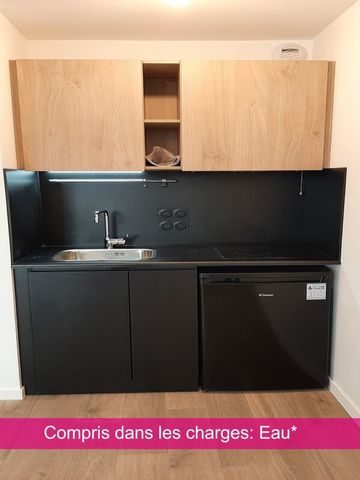 Location Appartement 1 pièce 21m² PALAISEAU 91120 - Photo 3