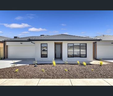 55 Ficus Circuit, Wallan, Vic 3756 - Photo 1